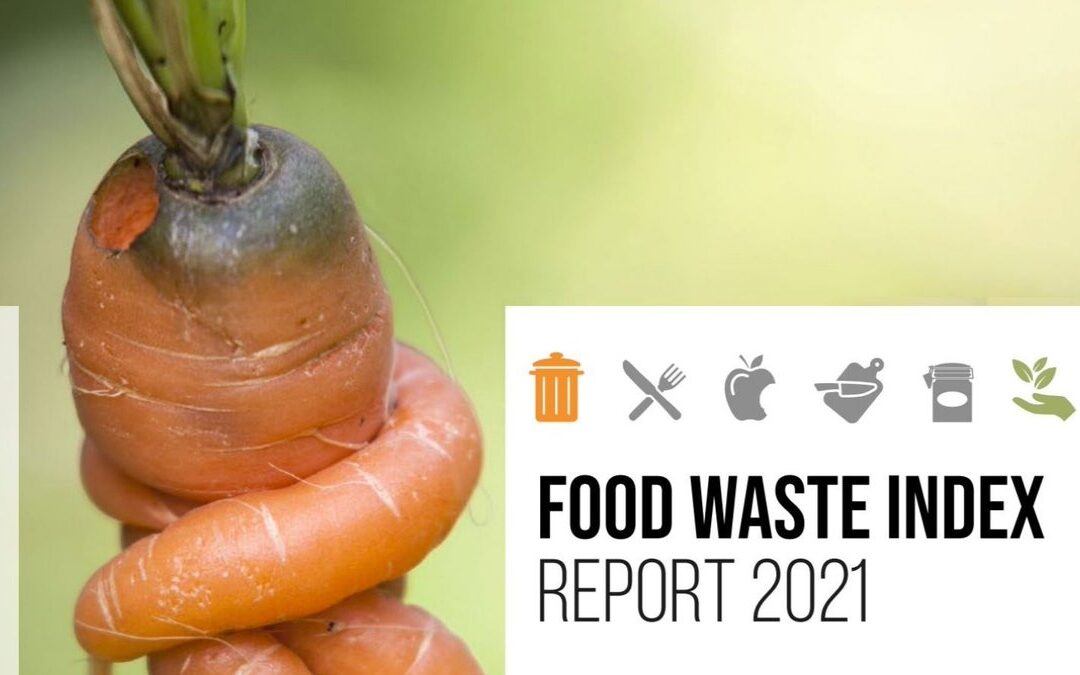Food Waste Index: Food (Waste) For Thought